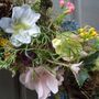 Spring Summer Hedgerow Wreath Door Wedding Home Decoration, thumbnail 4 of 5