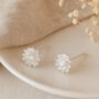 Sterling Silver Chrysanthemum Stud Earrings – 8mm, thumbnail 1 of 7
