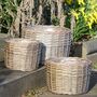 Set Of Three Round Woven Wicker Planters, thumbnail 3 of 8