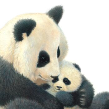 Illustrated Children's Wall Art Print Panda And Cub, 2 of 4