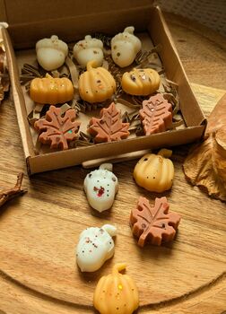 Autumnal Wax Melt Selection Box For Autumn Decor, 9 of 10