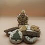 Carob Festive Cracker Dog Doughnuts And Biscuit Pack, thumbnail 5 of 6