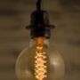 Globe Spiral Edison Vintage Light Bulb 40 W E27 B22, thumbnail 5 of 12