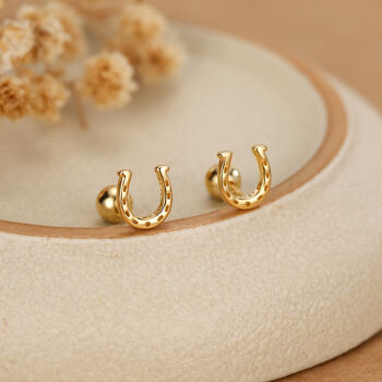 Sterling Silver Horseshoe 18 G Screw Back Stud Earrings, 4 of 11