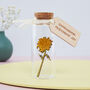 December Birth Flower Message Bottle Birthday Gift, thumbnail 6 of 12