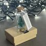 Personalised Miniature Christmas Tree In A Glass Bottle Keepsake, thumbnail 2 of 11