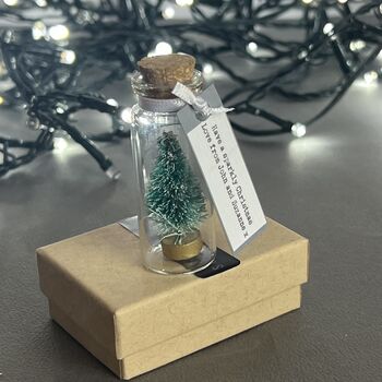 Personalised Miniature Christmas Tree In A Glass Bottle Keepsake, 2 of 11