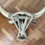 61cm Driftwood Bull Head With Horns Wooden Wall Decor, thumbnail 8 of 9