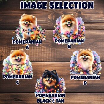 Personalised Pomeranian In Christmas Lights, 2 of 10
