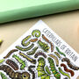 Caterpillars Of Britain Watercolour Postcard, thumbnail 9 of 9