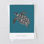 Turtle Gift Wrap Pack With Card Option, thumbnail 2 of 6