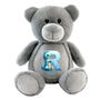 Personalised Dinosaur Alphabet Grey Plush Teddy Bear, thumbnail 10 of 10