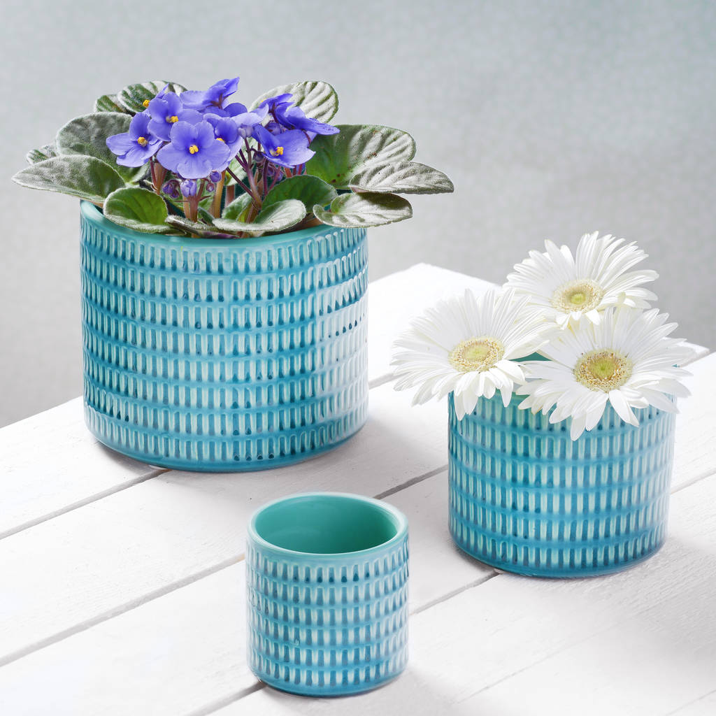 three blue ceramic planters by the best room