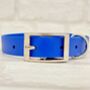 Waterproof Dog Collar And Lead Set Royal Blue, thumbnail 2 of 3