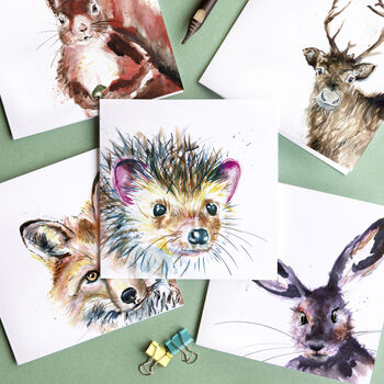 Wildlife Collection Pack Of Five Blank Greeting Cards, 8 of 8