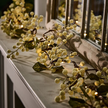 Winter Berries LED Garland, 3 of 6