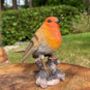 Pair Of Cute Robin Red Breast Garden Ornaments, thumbnail 8 of 9