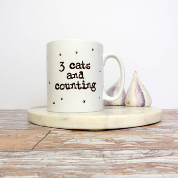 Personalised Crazy Cat Lady Funny Mug, 4 of 4