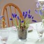Plant Your Own Spring Muscari Bulb, thumbnail 1 of 12