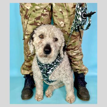 Camouflage Dog Bandana, 6 of 6