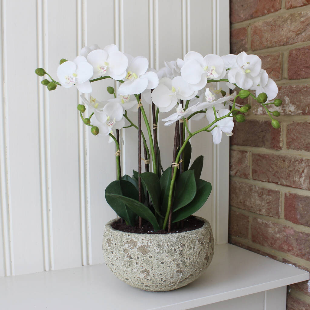 Luxury Artificial Orchid In Moss Covered Pot By Lime Tree London