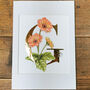 G Is For Gerbera Illuminated Artwork, thumbnail 3 of 4