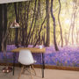 Bluebell Woods Self Adhesive Wallpaper Mural, thumbnail 1 of 4