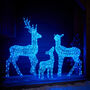 Twinkly Smart LED Light Up Christmas Reindeer Family, thumbnail 9 of 12