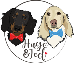 Hugo and Ted Logo