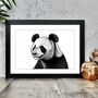 Black And White Panda Bear Portrait Art Print, thumbnail 1 of 2