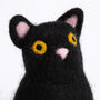 Halloween Cat Easy Needle Felting Kit, thumbnail 4 of 8