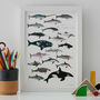 Whales And Dolphins Print, thumbnail 1 of 2
