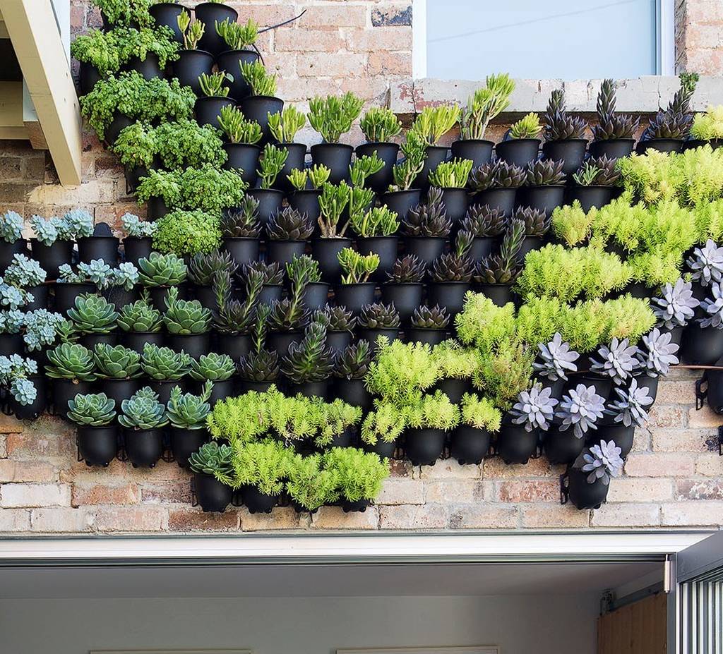 outdoor vertical wall garden planters by marquis & dawe