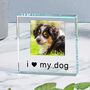 Glass Token Gift For Dog And Cat Lovers, thumbnail 1 of 2