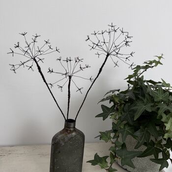 Three Fine Wire Cow Parsley Stems, 8 of 9