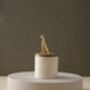 Handmade Decorative Ceramic Jar With Cheetah Lid, thumbnail 1 of 2