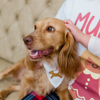 Personalised Christmas Dog Pet Bandana, 8 of 8