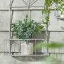 Set Of Two Iron Arch Wall Planters, thumbnail 4 of 7