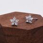 Uncoloured Forget Me Not Flower Cz Stud Earrings, thumbnail 2 of 11