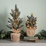 Two Pre Lit Artificial Frosted Mini Christmas Trees, thumbnail 3 of 3