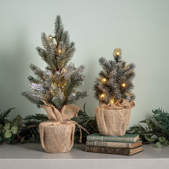 Two Pre Lit Artificial Frosted Mini Christmas Trees, 3 of 3