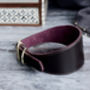 Vegetable Tanned Leather And Suede Hound Collar, thumbnail 1 of 11