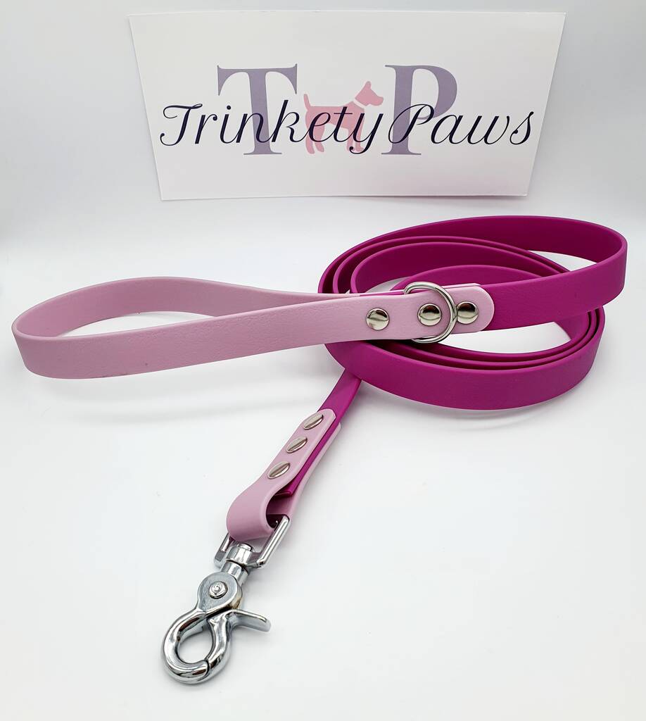 Dual Coloured Biothane® Waterproof Dog Leash By Trinkety Paws