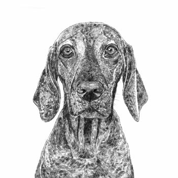 Vizsla Dog Print, 3 of 3