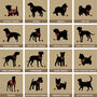 Personalised Cat And Dog Breed Print For Two Pets, thumbnail 11 of 12