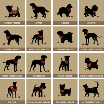 Personalised Cat And Dog Breed Print For Two Pets, 11 of 12