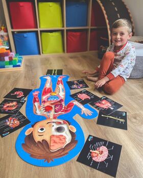 Human Anatomy Learning Cards And Gift Set, 2 of 12