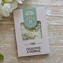 Mini Wax Melt Bar Eucalyptus And Oakmoss, thumbnail 1 of 2