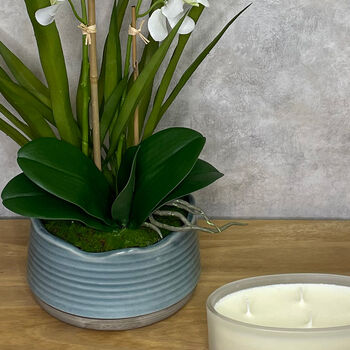 White Vanda Orchids Plants In Blue Pot Faux Flower Arrangement, 3 of 3