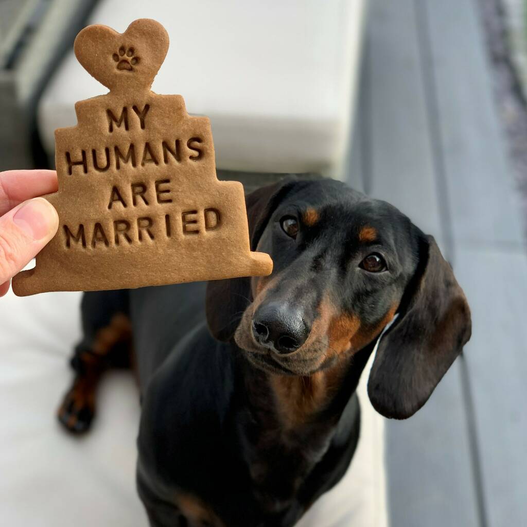 Personalised 'My Humans Are Married' Dog Biscuits Gift, 1 of 5